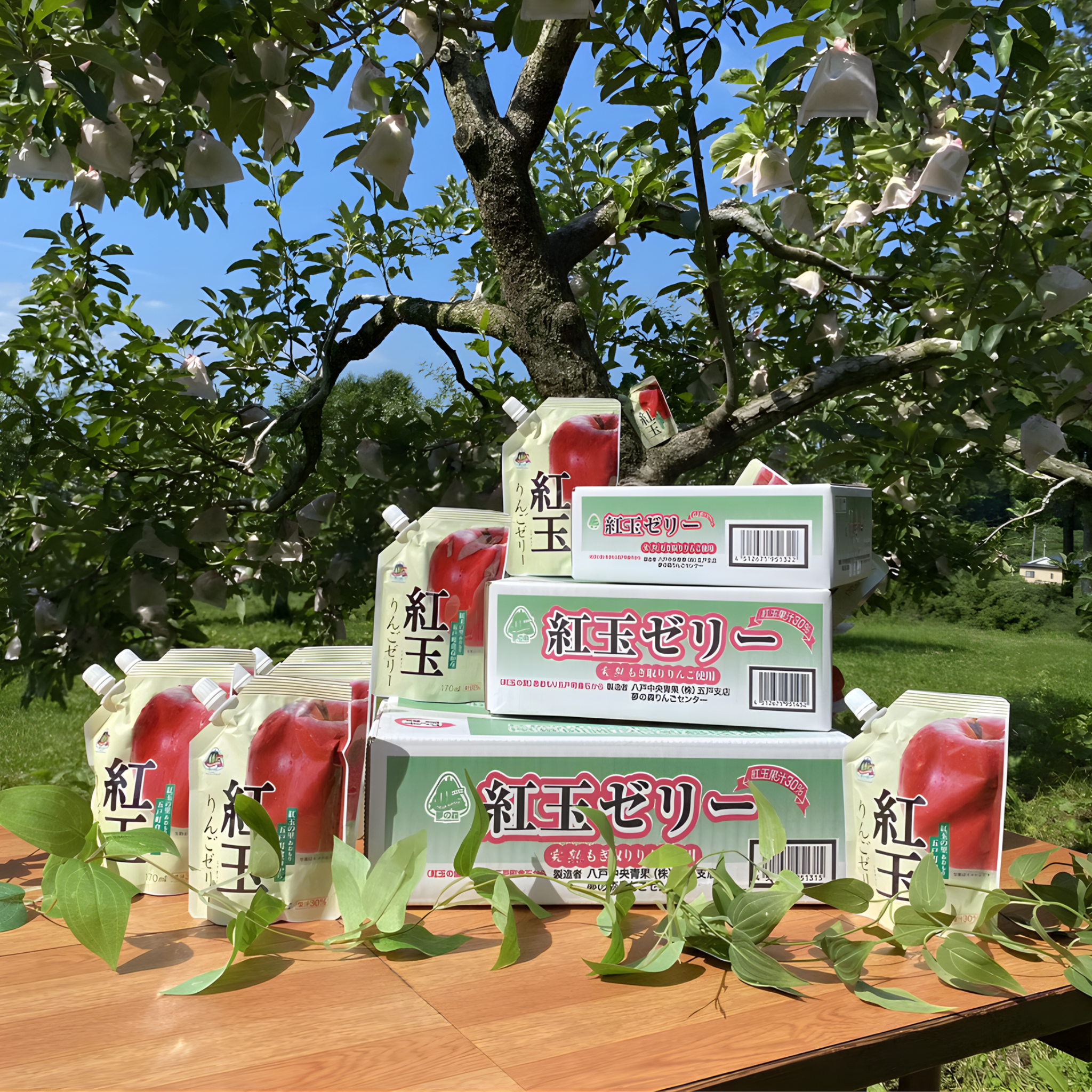 "Hachinohe Chuo Seika" Kogyoku Apple Jelly 170ml