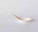 Sugarcane Chinese Spoon 100pcs