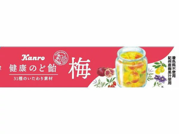 [BBD: Feb 2024] "Kanro" Throat Candy Plum Flavour 11pcs 43gm